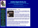 Website Snapshot of AVIATION ENGINE SERVICES, INC.