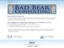 BAD BEAR CONSULTING