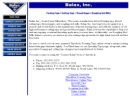 Website Snapshot of Balax, Inc.