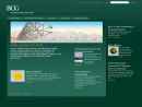 Website Snapshot of Boston Consulting Group Inc