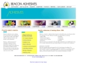Website Snapshot of Beacon Adhesives, Inc.