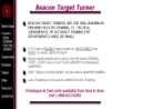 Website Snapshot of BEACON TARGET TURNER INC.