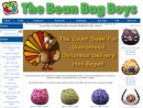 Website Snapshot of Bean Bag Boys, Inc.