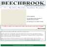 Website Snapshot of Krivaja Beechbrook Corp.