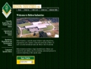 Website Snapshot of Belton Industries, Inc.