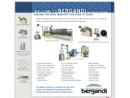 Website Snapshot of Bergandi Machinery Co.