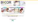 Website Snapshot of Bicor Processing Corp.