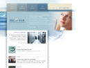 Website Snapshot of Big Sur Technologies, Inc.