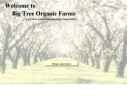 Website Snapshot of Big Tree Organic Farms Inc