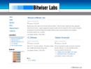 Website Snapshot of BITWISER LABS, LLC
