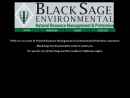 Website Snapshot of BLACK SAGE ENVIRONMENTAL