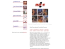 Website Snapshot of Blaze Recycling & Metal, Inc.