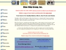 Website Snapshot of Blue-Chip Group Inc