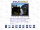 Website Snapshot of Blue Gold, A Div. Of Modern Chemical Co., Inc.