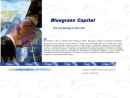 Website Snapshot of Blue Grass Capital