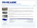 Website Snapshot of Blue Line Graphics