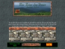 Website Snapshot of Blue Ridge Log Homes