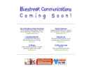 Website Snapshot of Blue Streak Industries, Inc.