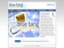 Website Snapshot of BLUE TANG SOLUTIONS, LLC