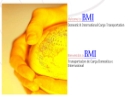 Website Snapshot of BMI, INC