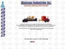 Website Snapshot of Boatman Industries, Inc.