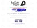 Website Snapshot of Boltex, Inc.