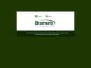 Website Snapshot of BRAMERIX TRADING LLC