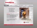 Website Snapshot of Brandywine Communications