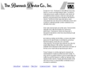 Website Snapshot of Brannock Device Co., The