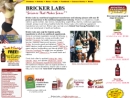 Website Snapshot of Bricker Labs, Inc.