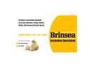 Website Snapshot of BRINSEA PRODUCTS INC