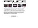 Website Snapshot of BRUCE INDUSTRIES INC