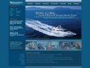 Website Snapshot of Mercury Marine Group