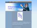 Website Snapshot of BSI MANAGEMENT SEARCH AND CONSULTING