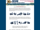 Website Snapshot of BSM Pump Corp.