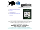 Website Snapshot of Buffalo Dental Mfg. Co., Inc.