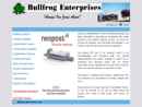 Website Snapshot of BULLFROG ENTERPRISES INC