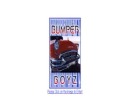 Website Snapshot of Bumper Boyz