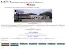 Website Snapshot of COMMUNITY ACTION OF EAST CENTRAL INDIANA INC