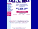 Website Snapshot of CALL A HEAD CORP