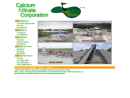 Website Snapshot of Calcium Silicate Corp.