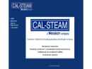Website Snapshot of Cal Steam