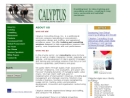 CALYPTUS CONSULTING GROUP INC.