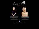 Website Snapshot of CAPRI SCHOOL OF HAIR DESIGN, INC