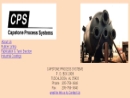 Website Snapshot of Capstone Process Systems LLC