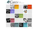 Website Snapshot of Carey Color, Inc.
