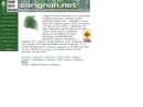 Website Snapshot of Carignan Forestry Consultants