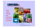 Website Snapshot of Carrubba, Inc.