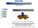 Website Snapshot of Carson Underground, Inc.