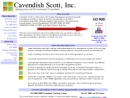 Website Snapshot of CAVENDISH SCOTT INC